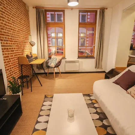 One Bedroom Equipped In Old Apartment Lille