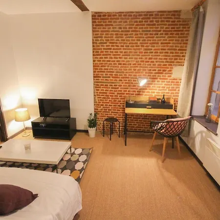 Apartment One Bedroom Equipped In Old Lille